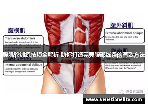 腹肌轮训练技巧全解析 助你打造完美腹部线条的有效方法